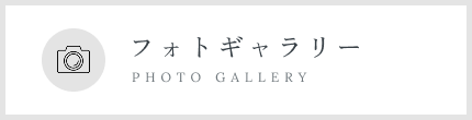 フォトギャラリー
